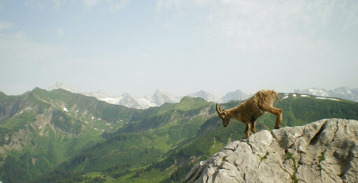 hghfhgjk Contact Hero