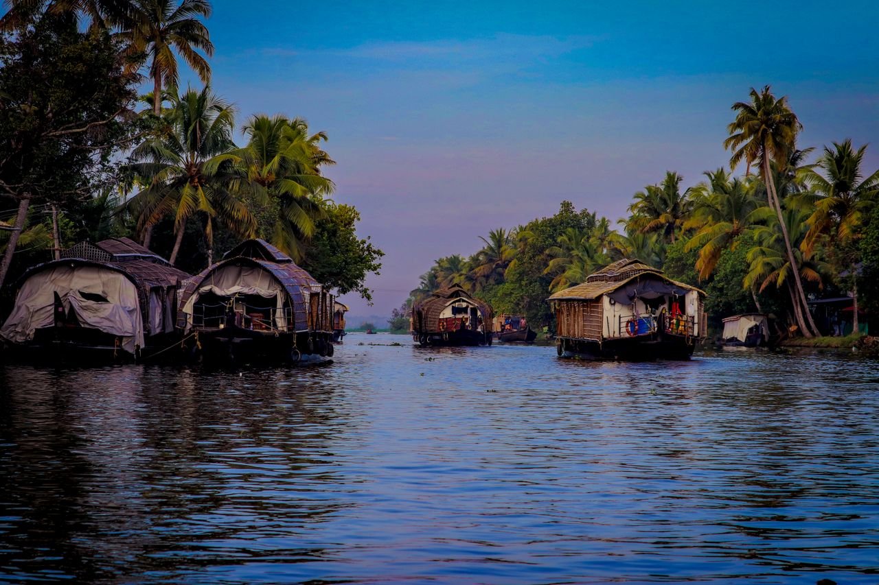Traditional houseboats cruise through lush palm-lined backwaters in Kerala, India.